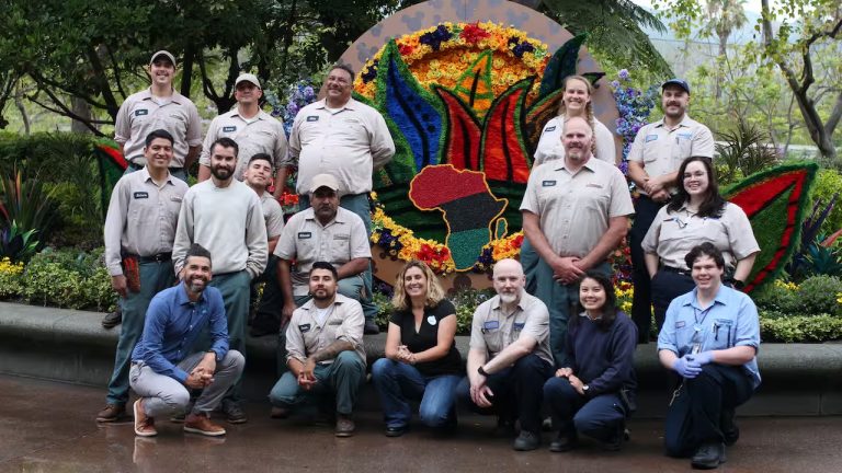 ‘Encanto’-Inspired Floral Displays at Downtown Disney District Represent Inclusion at the Disneyland Resort