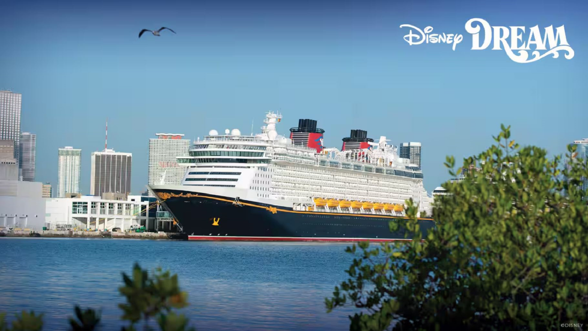 2022-WDW-Disney-Dream-Setting-Sail-from-Miami-All-Year-Long