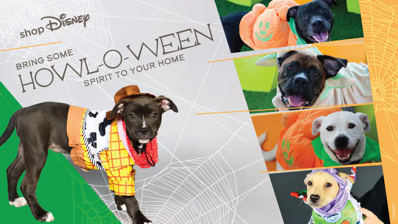 2022-DX-shopDisney-and-San-Diego-Humane-Society-Share-the-Howl-o-Ween-Spirit