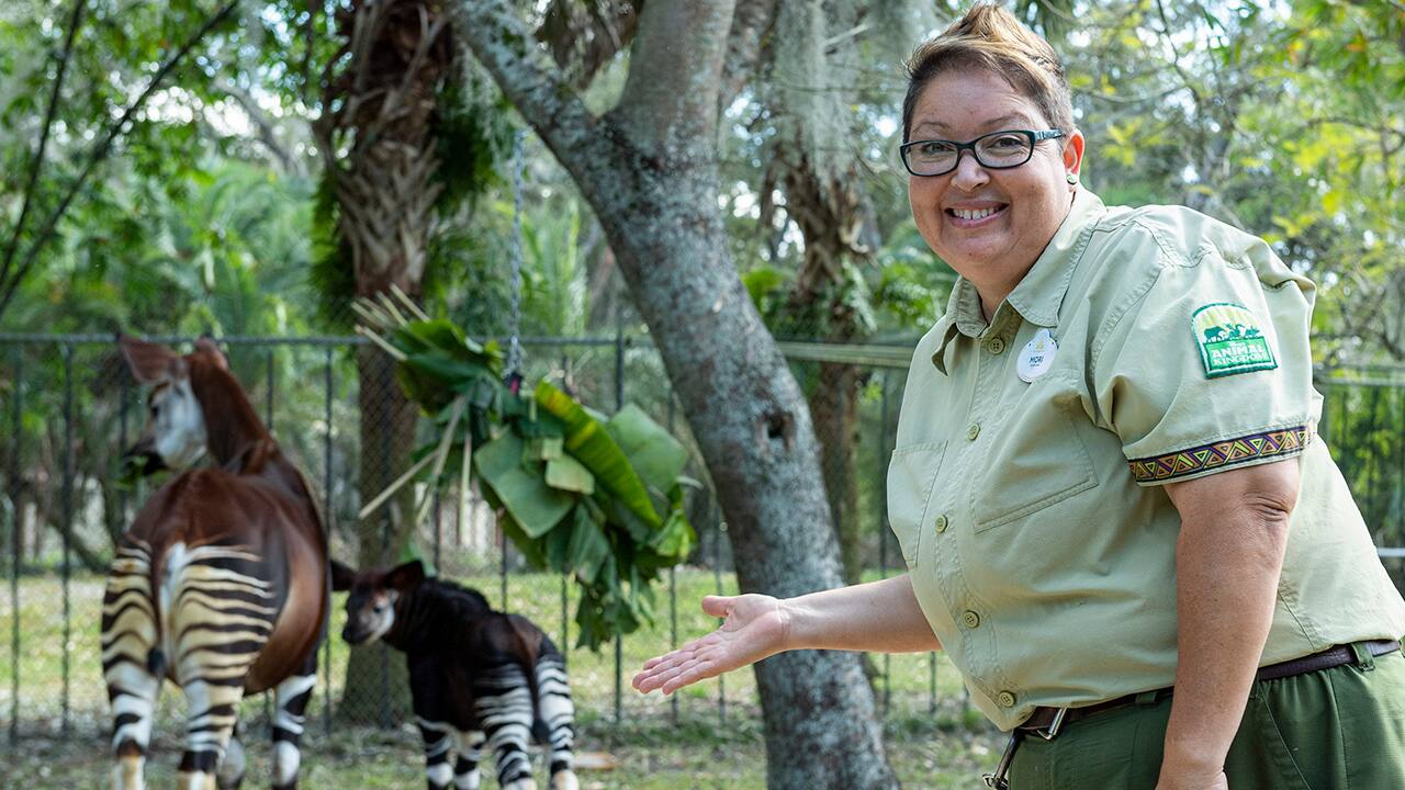 2022-WDW-Celebrating-Disney-Animal-Keeper-Childhood-Dream-on-World-Okapi-Day