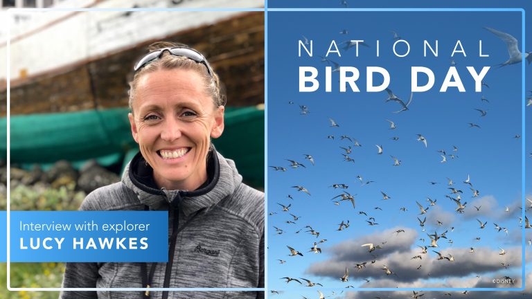 National Geographic Expert Shares Why Birds Should be Treated Like Celebrities blog header