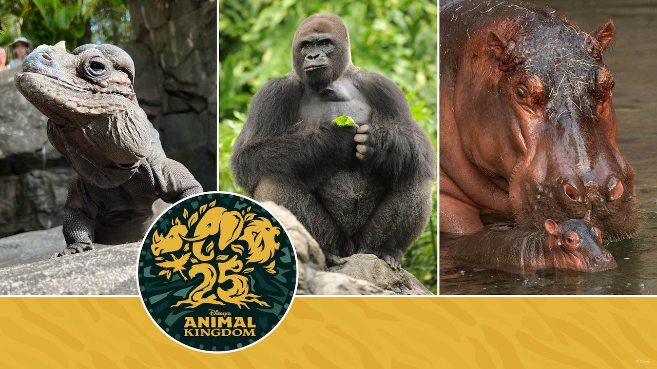 Meet the Residents of Disney’s Animal Kingdom Theme Park Who’ve Inspired Guests for 25 Years blog header