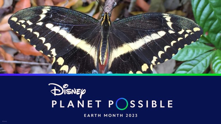 Disney Expands its Longstanding Conservation Legacy in Honor of Disney’s Animal Kingdom’s 25th Anniversary blog header