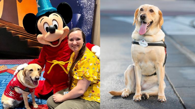 The 'Fur'ever Friendship Between Disney Imagineers Jacklyn and Noodle blog header