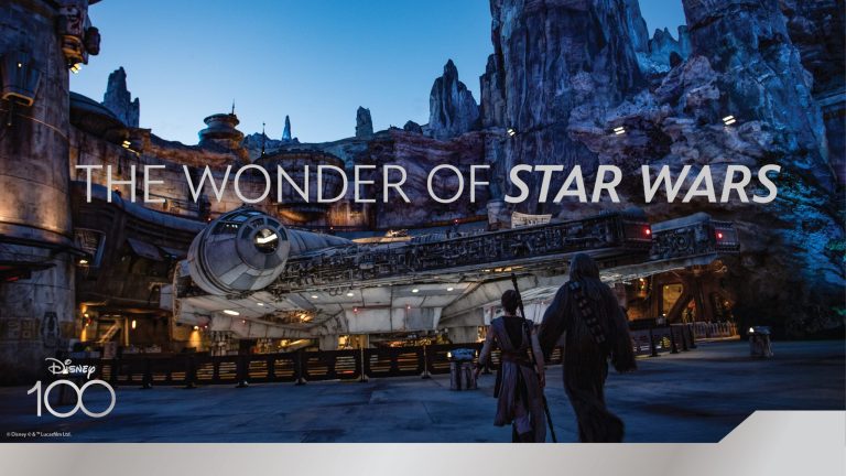 The Wonder of Star Wars D100