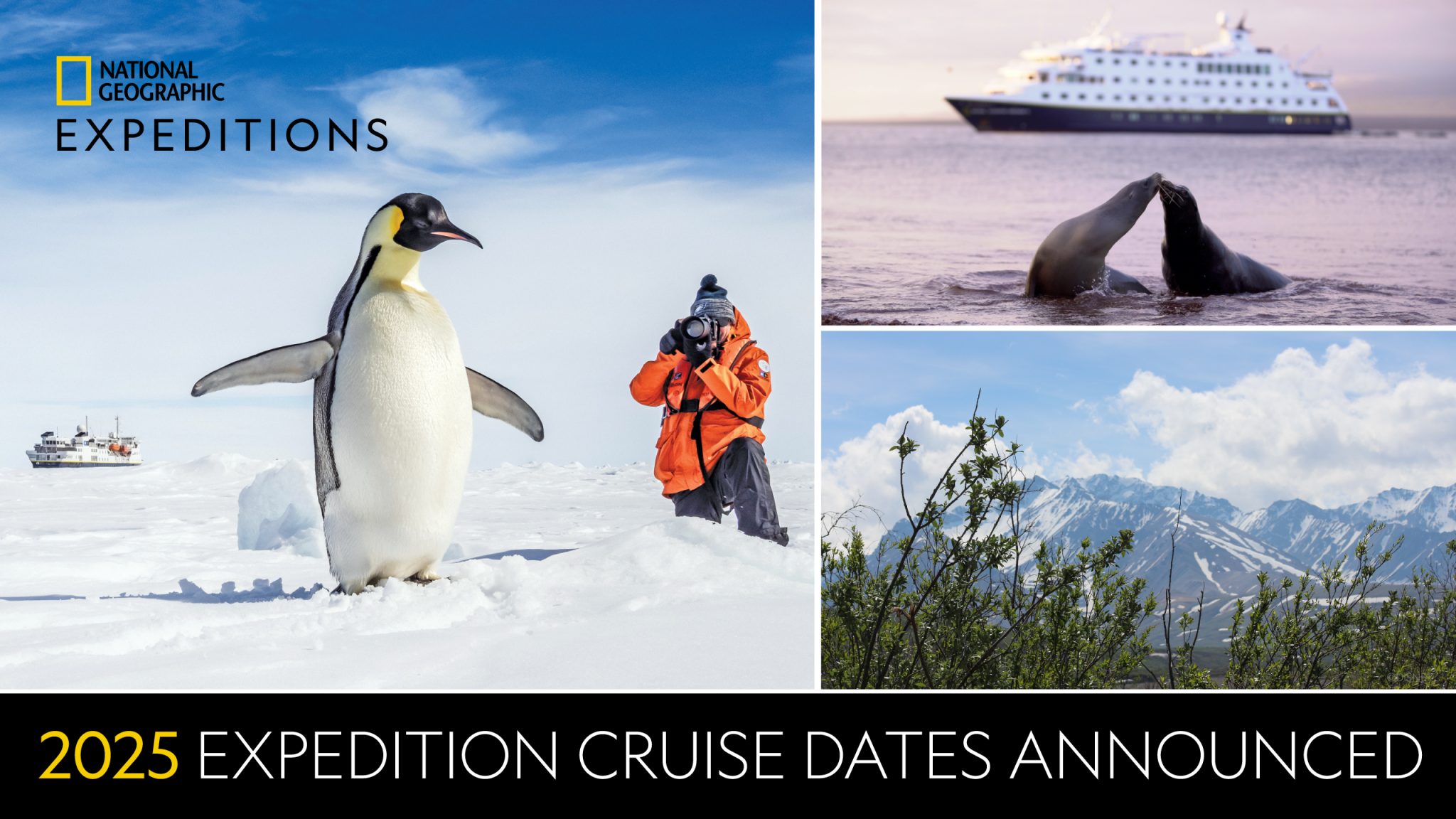 National Geographic Expeditions Cruise Dates Announced For 2025 ...