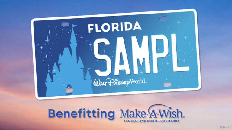 Disney license plate that benefits Make-A-Wish. It's blue with a silhouette of Cinderella's Castle