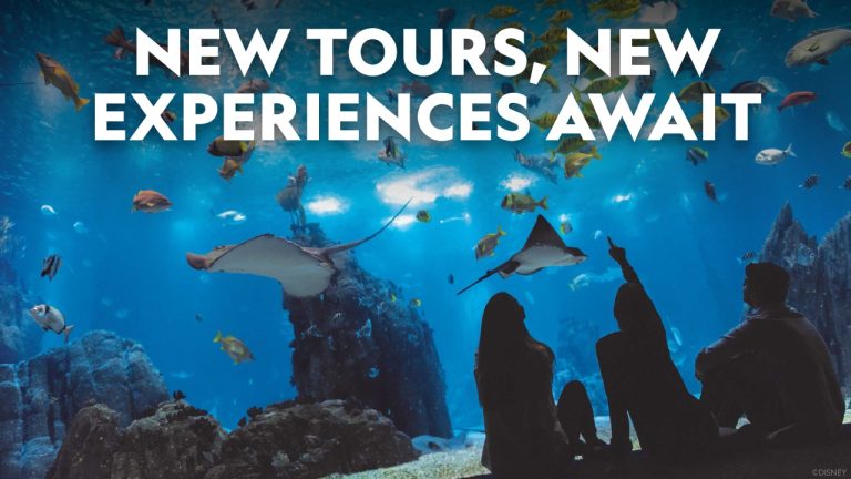 New National Geographic Day Tours for Travelers Short on Time but Big on Exploring blog header