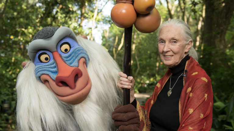 Celebrating Environmental Icon Dr. Jane Goodall’s 90th