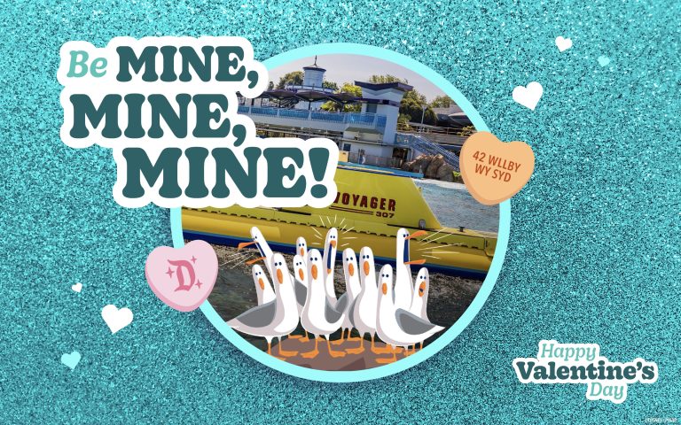 Valentine's Day Card Finding Nemo Seagulls Wallpaper