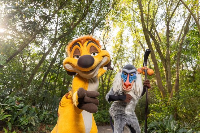 Disney’s Animal Kingdom Theme Park - Rafiki and Timon