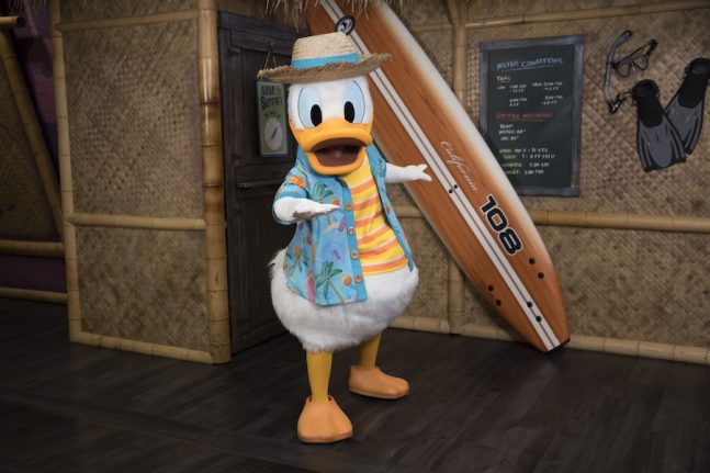 Donald Duck in surf attire