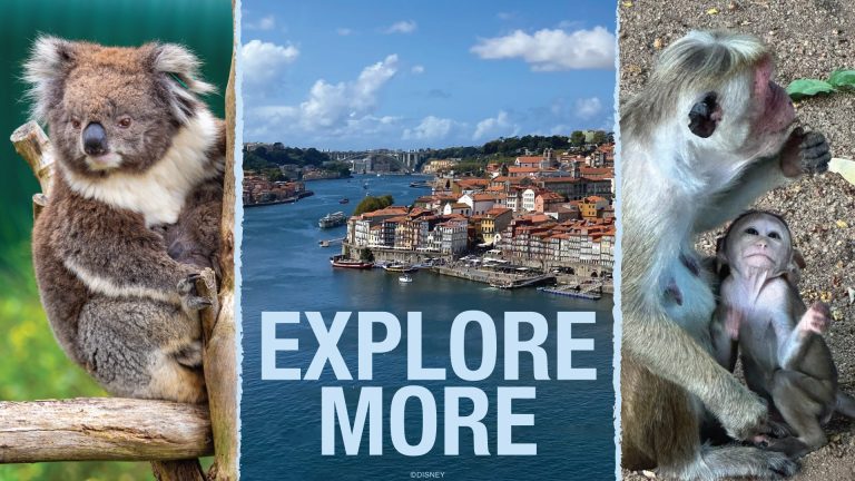 Nat Geo Expeditions Announces 3 New, Bucket List-Worthy Trips Beginning in 2025