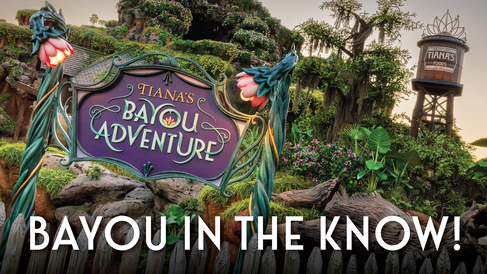 EVERYTHING To Know Before Riding Tiana’s Bayou Adventure Disney Parks Blog