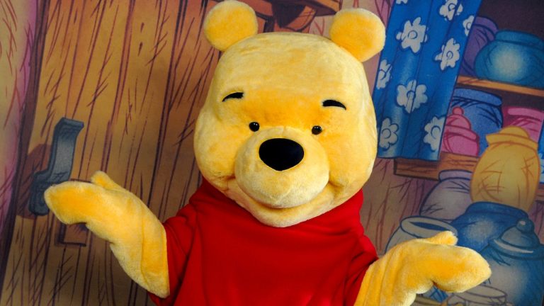 Close-up image of Winnie the Pooh