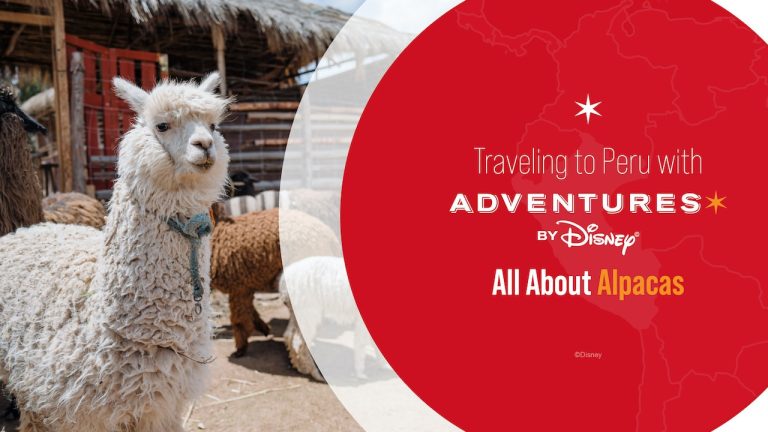 Going to Peru with Adventures by Disney blog header