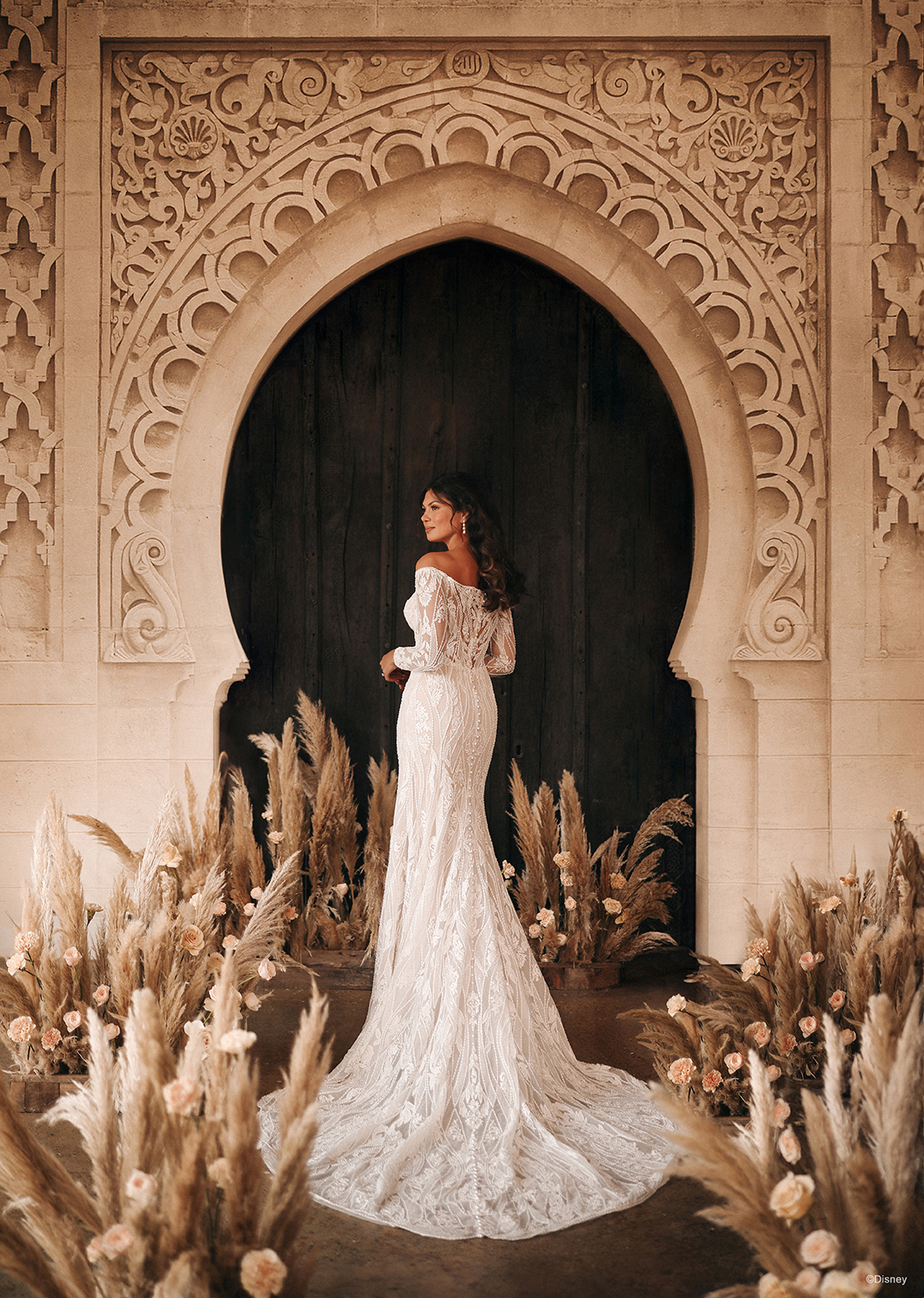 Wedding Dress, Disney’s Fairy Tale Weddings & Honeymoons