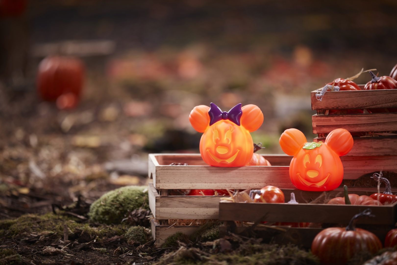 These Disney Halloween Decorations Are Perfect for the Spooky Season ...