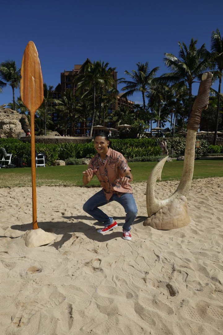 Hualālai Chung with Maui's Hook in the sand