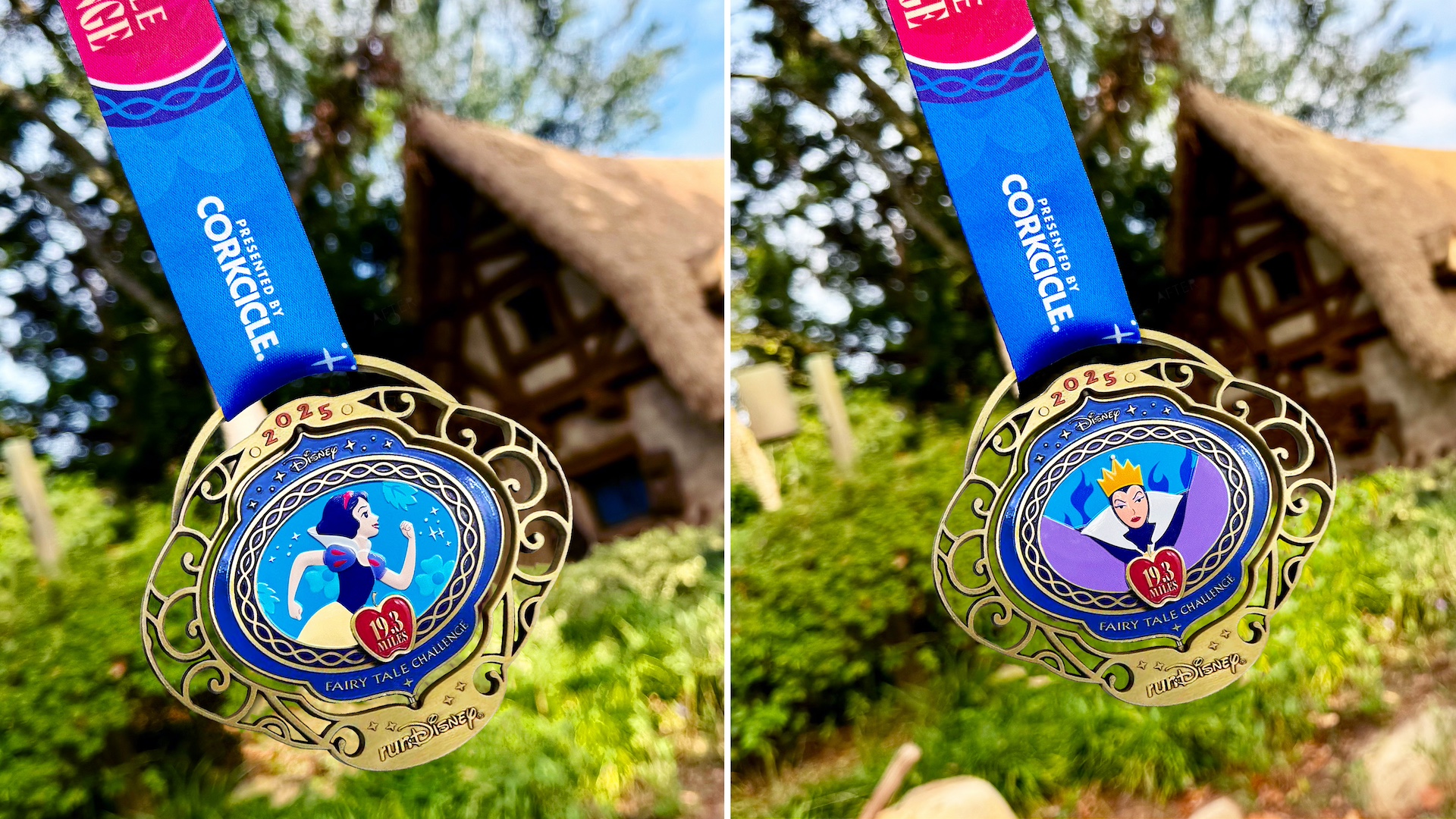 Medal for Disney Princess Fairy Tale Challenge presented by CORKCICLE 