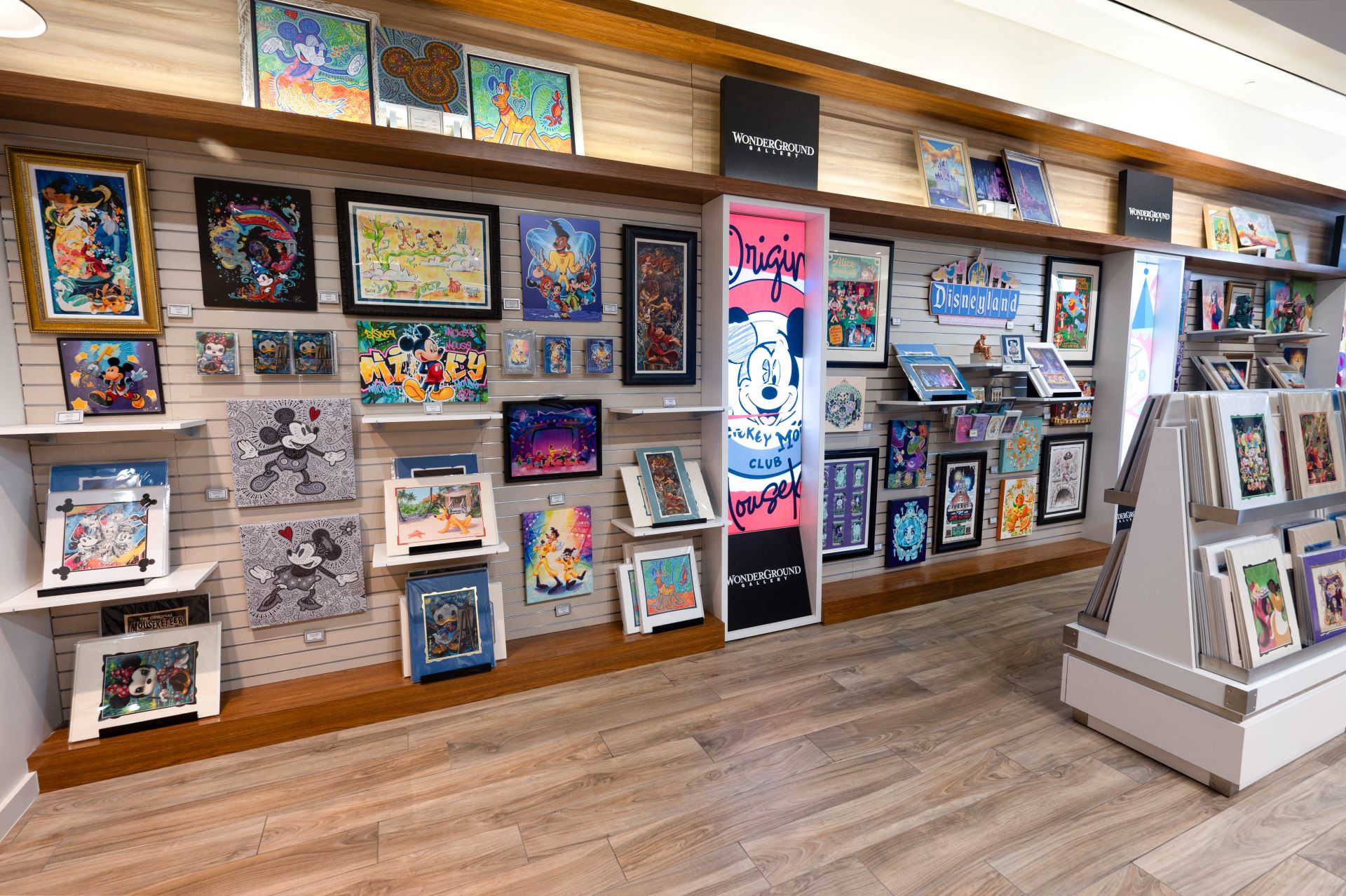 Downtown Disney District - WonderGround Gallery