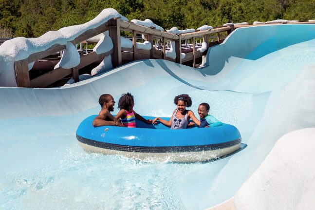 Disney’s Blizzard Beach Water Park