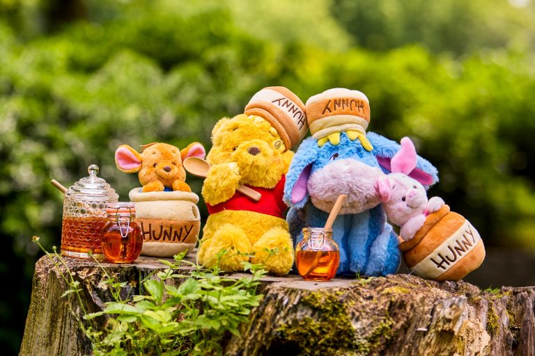 Winnie the Pooh Honey Day Merchandise Plushes