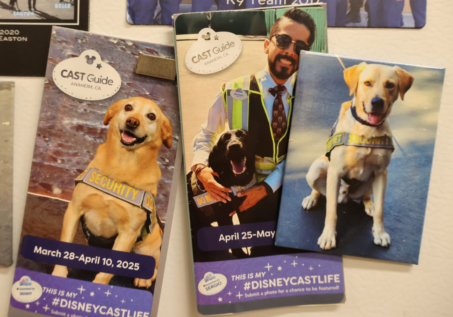 K9 Cast Guides at Disneyland