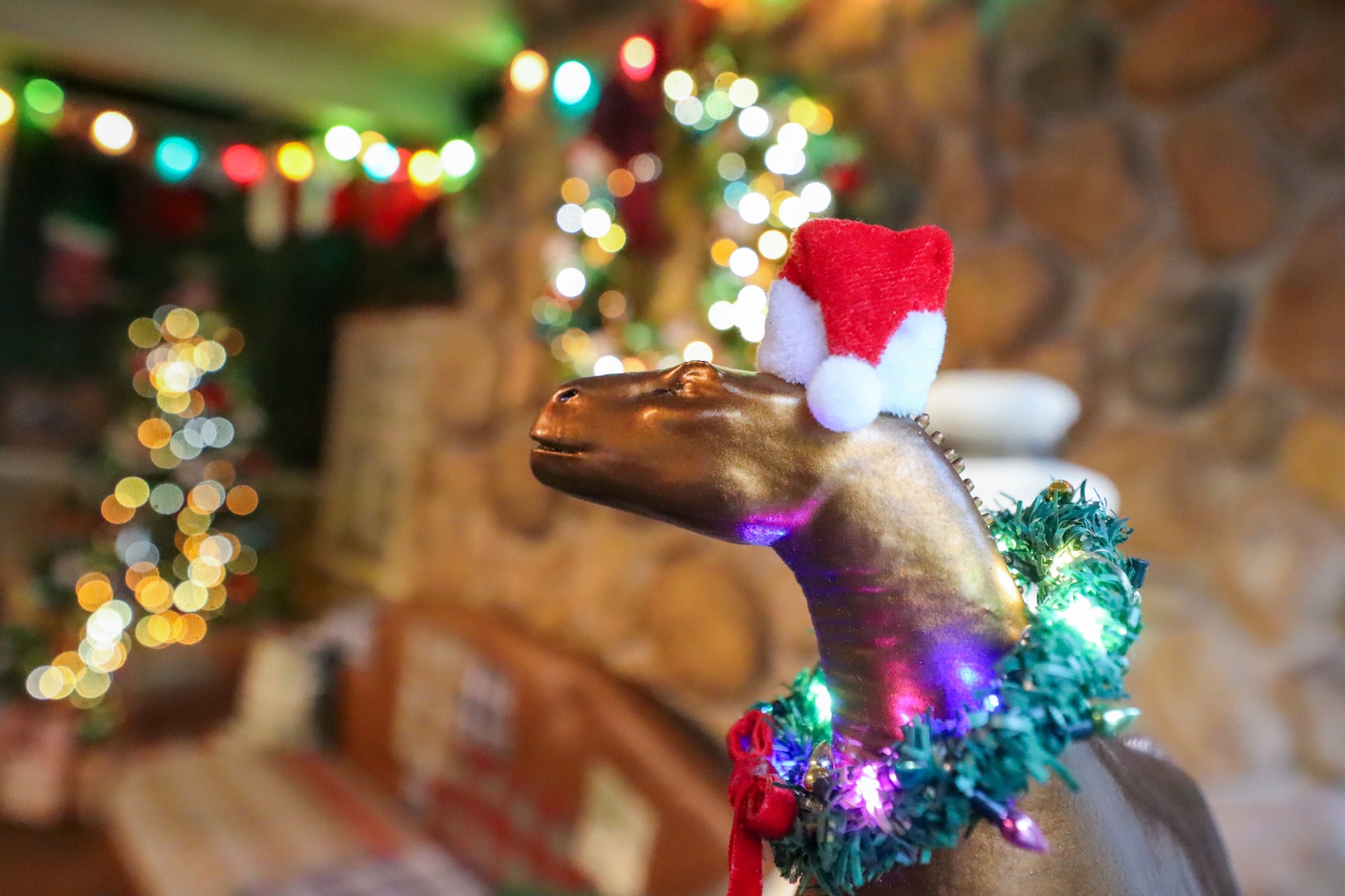 Where to Meet Santa at Disney World This Holiday Season