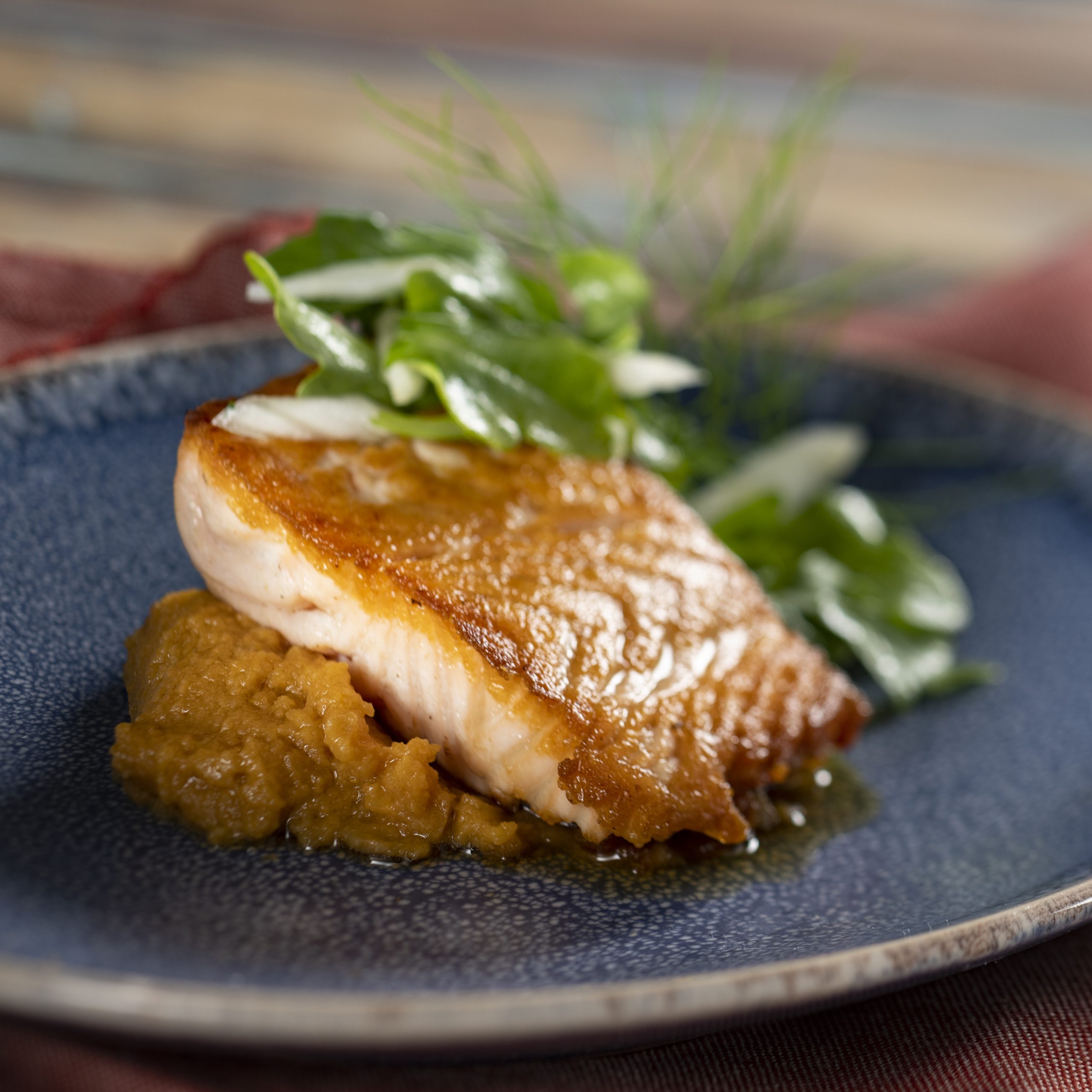 Seared Salmon with butternut squash purée, maple-bourbon glaze, and fennel-arugula salad