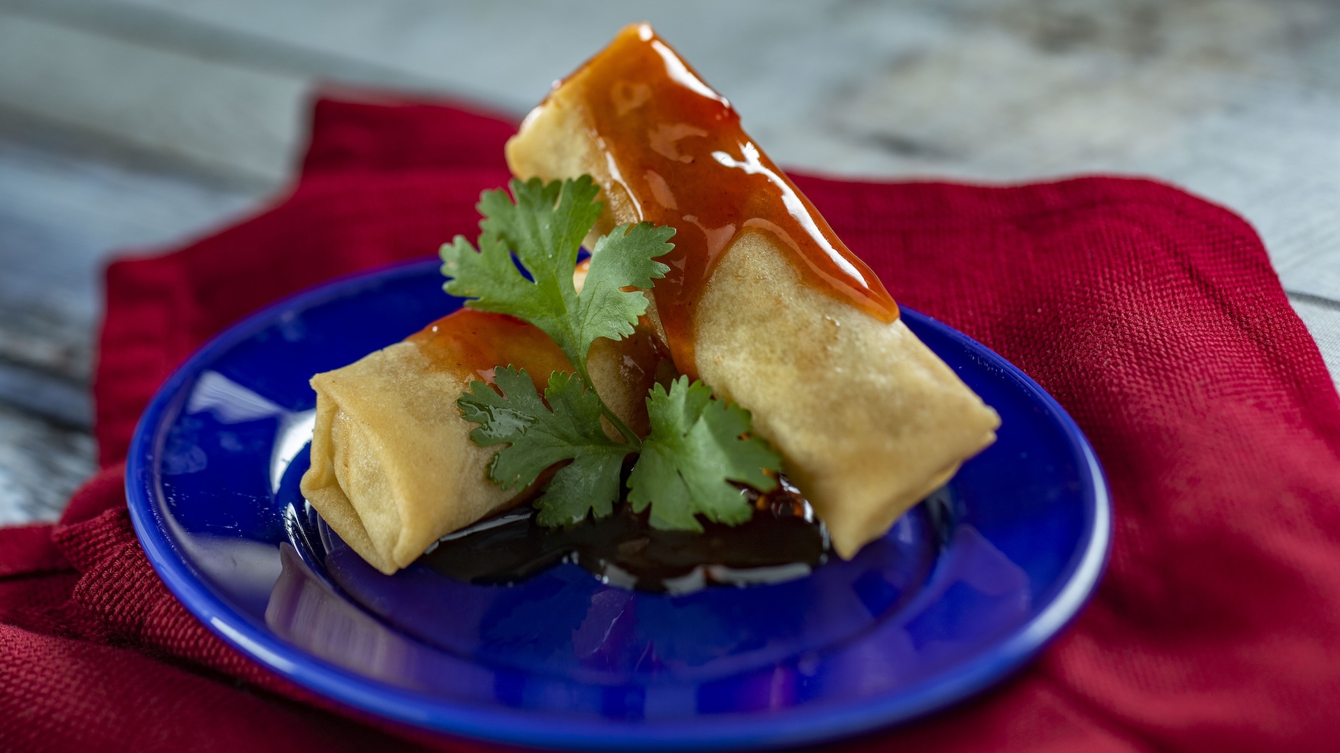 Vegetable Spring Rolls with citrus sauce