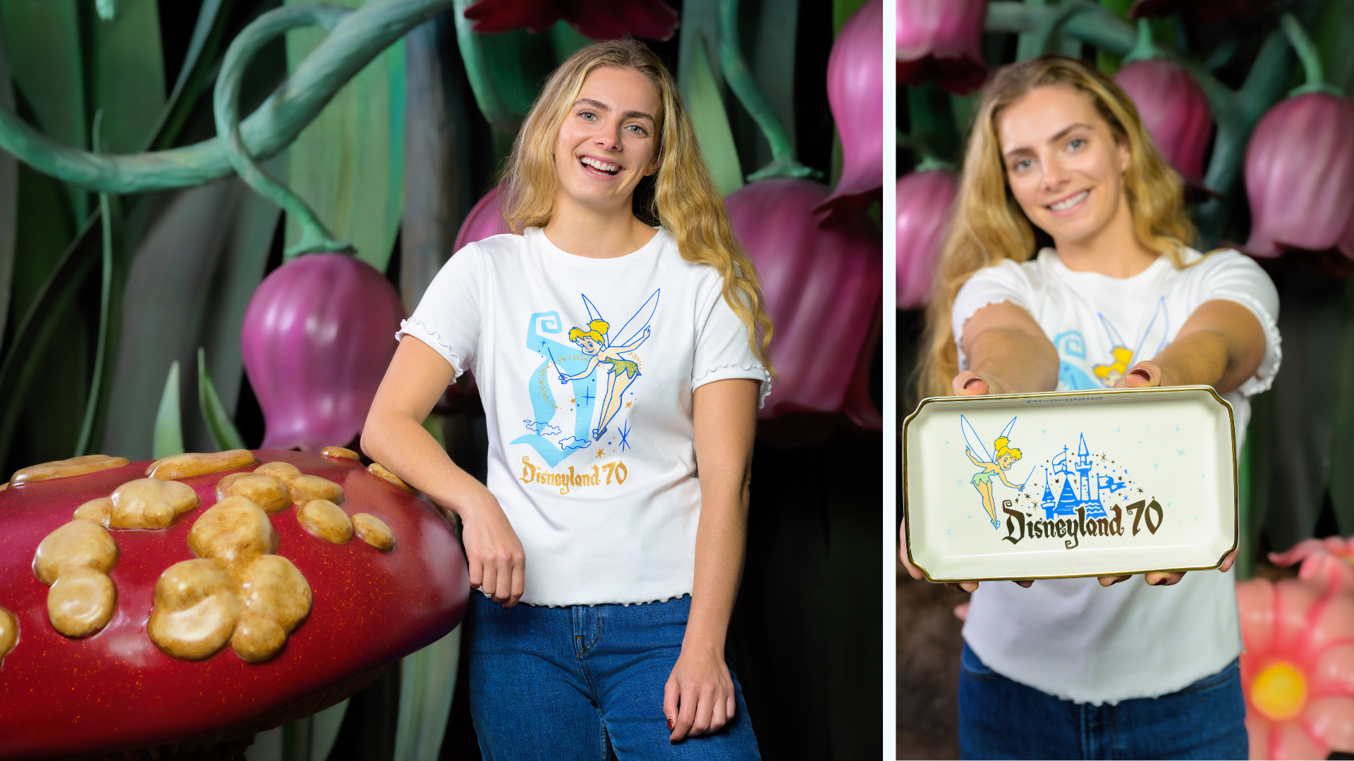 Disneyland 70th - New Vault Collection Merchandise