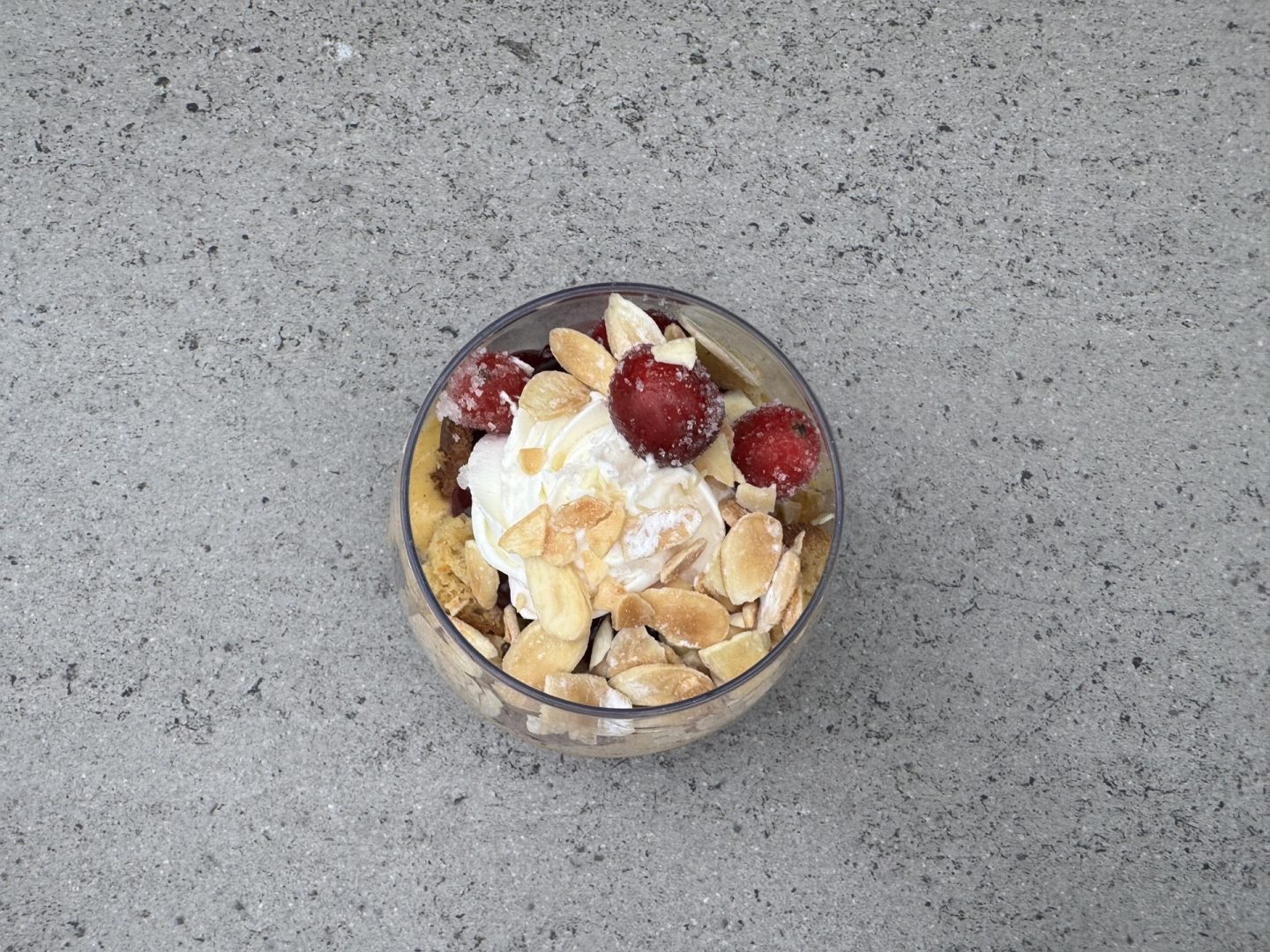 EPCOT Festival Holidays Favorites Panettone Holiday Trifle