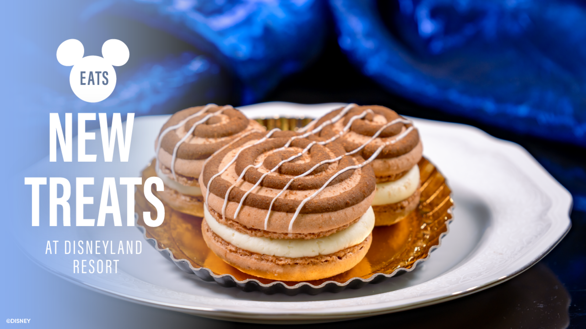 Chocolate and vanilla dessert with swirls on a decorative plate.