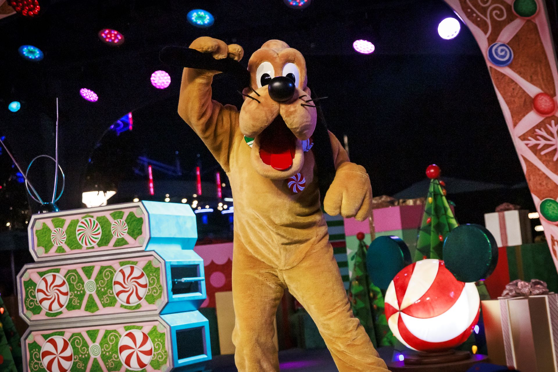 Pluto the dog performing with holiday decorations in the background.