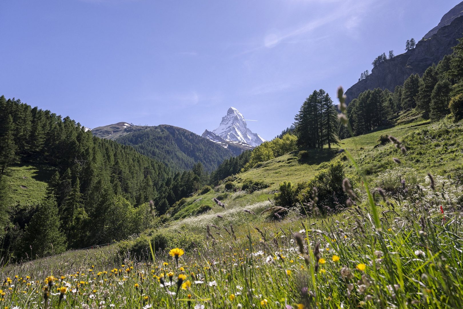 Switzerland Adventures by Disney Trip