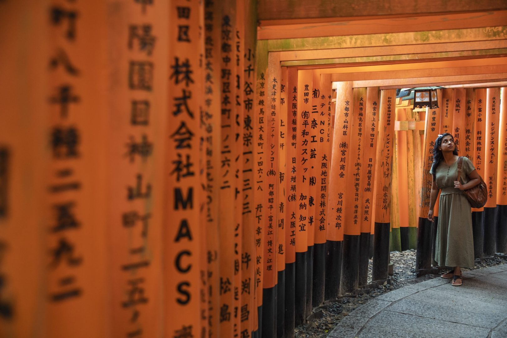 Iconic Japan National Geographic Journeys with G Adventures Trip