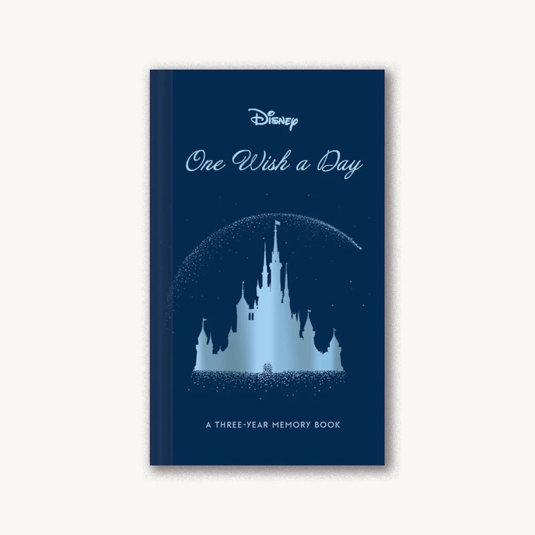 Disney One Wish a Day 