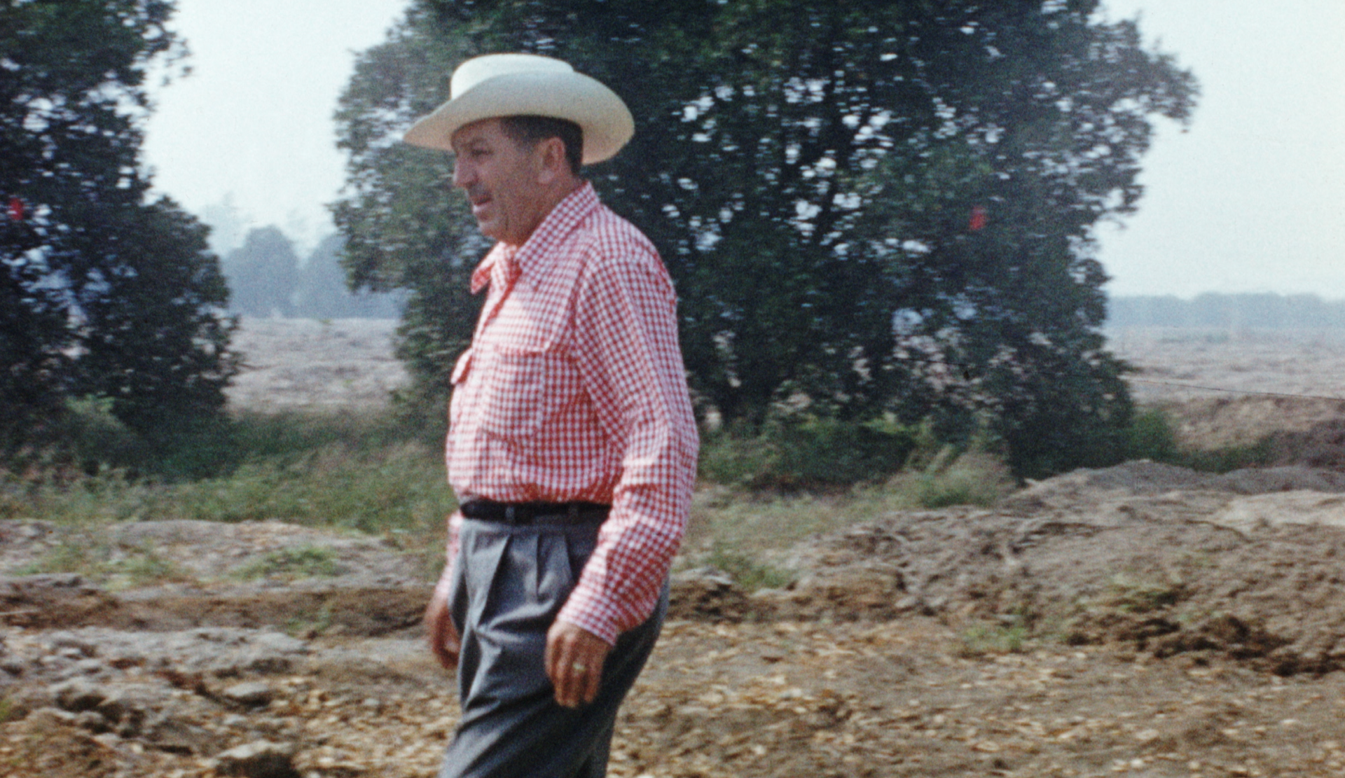 Disneyland Handcrafted - Walt Disney