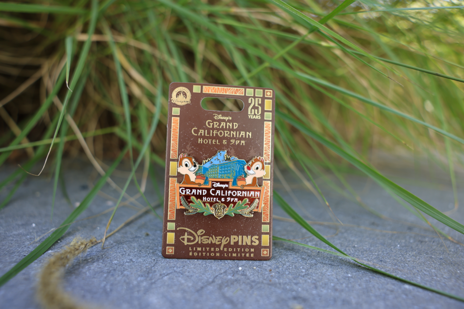 Limited Edition 25th Anniversary Pin at Grand Californian