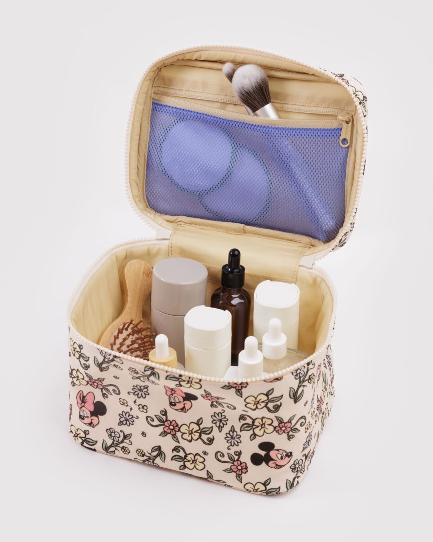 Disney BAGGU Collection