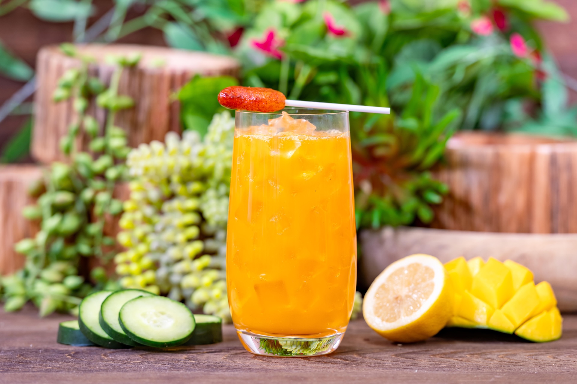Tall glass of orange drink garnished with cucumber and lemon slices.