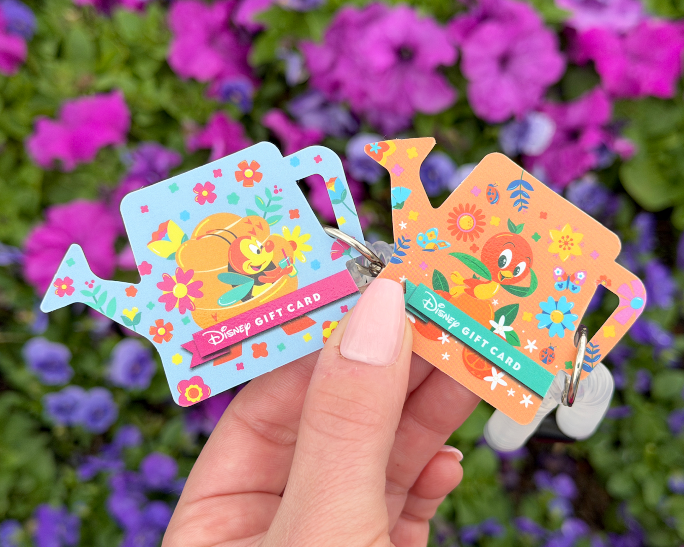 Disney Gift Cards