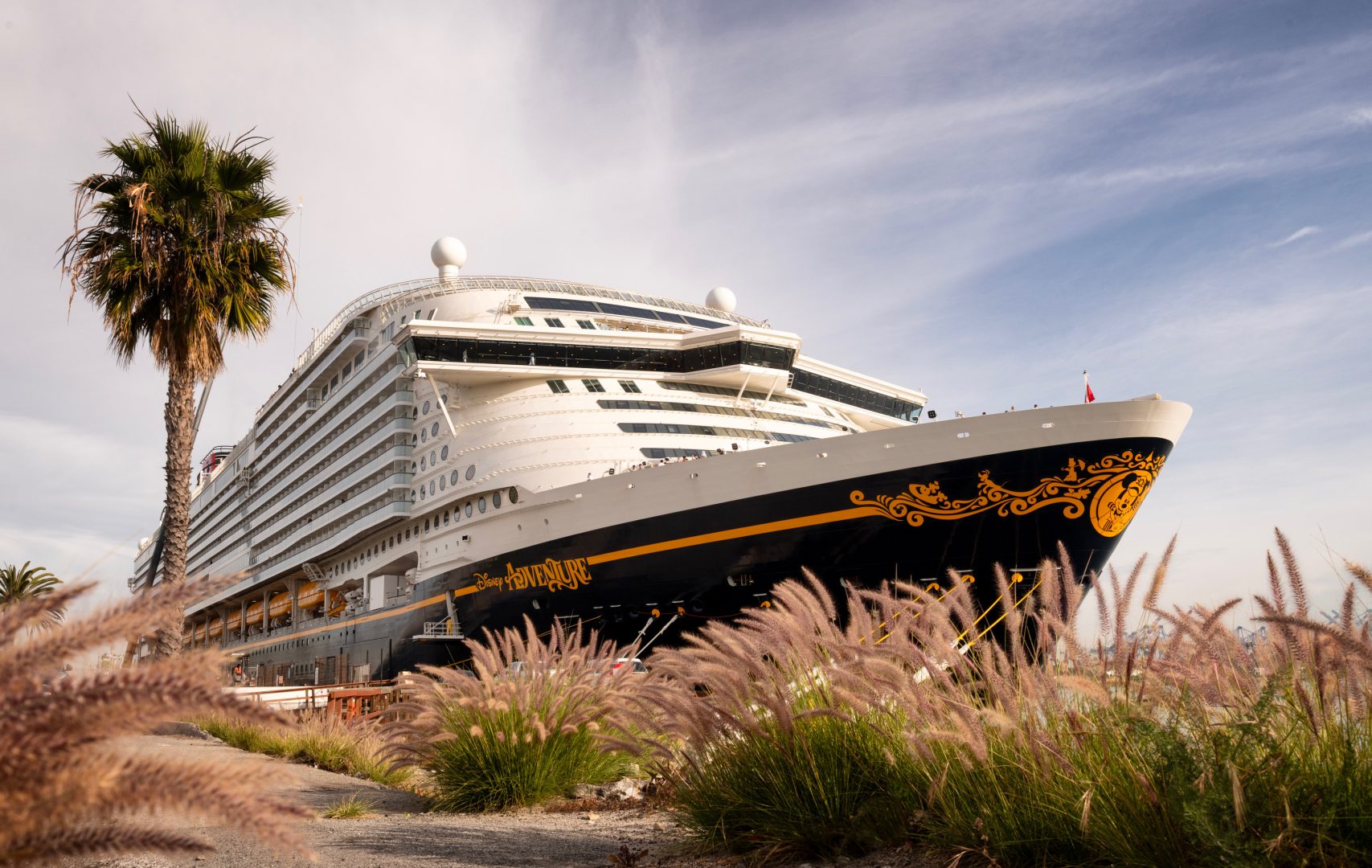 Disney Cruise Line's Disney Adventure Arrives in LA