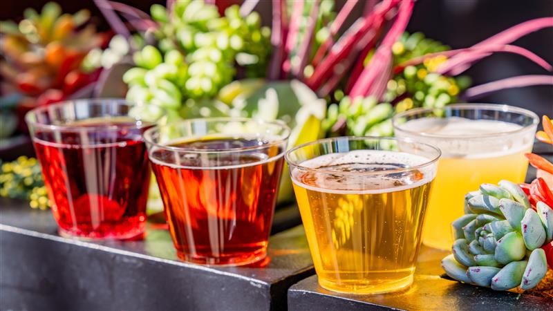 Paradise Beer Garden Beverage