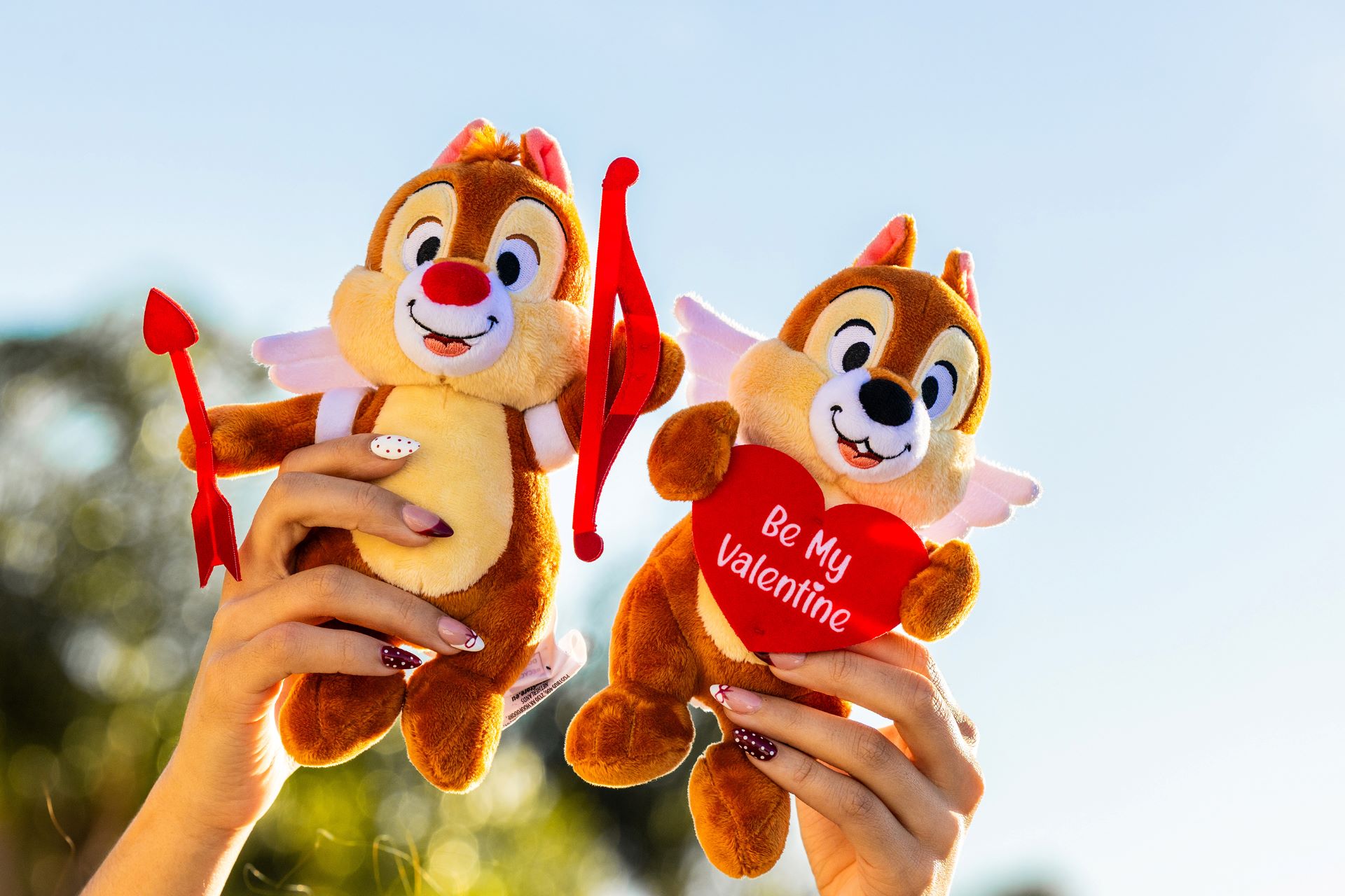 Disney World - Seasons of Love Collection