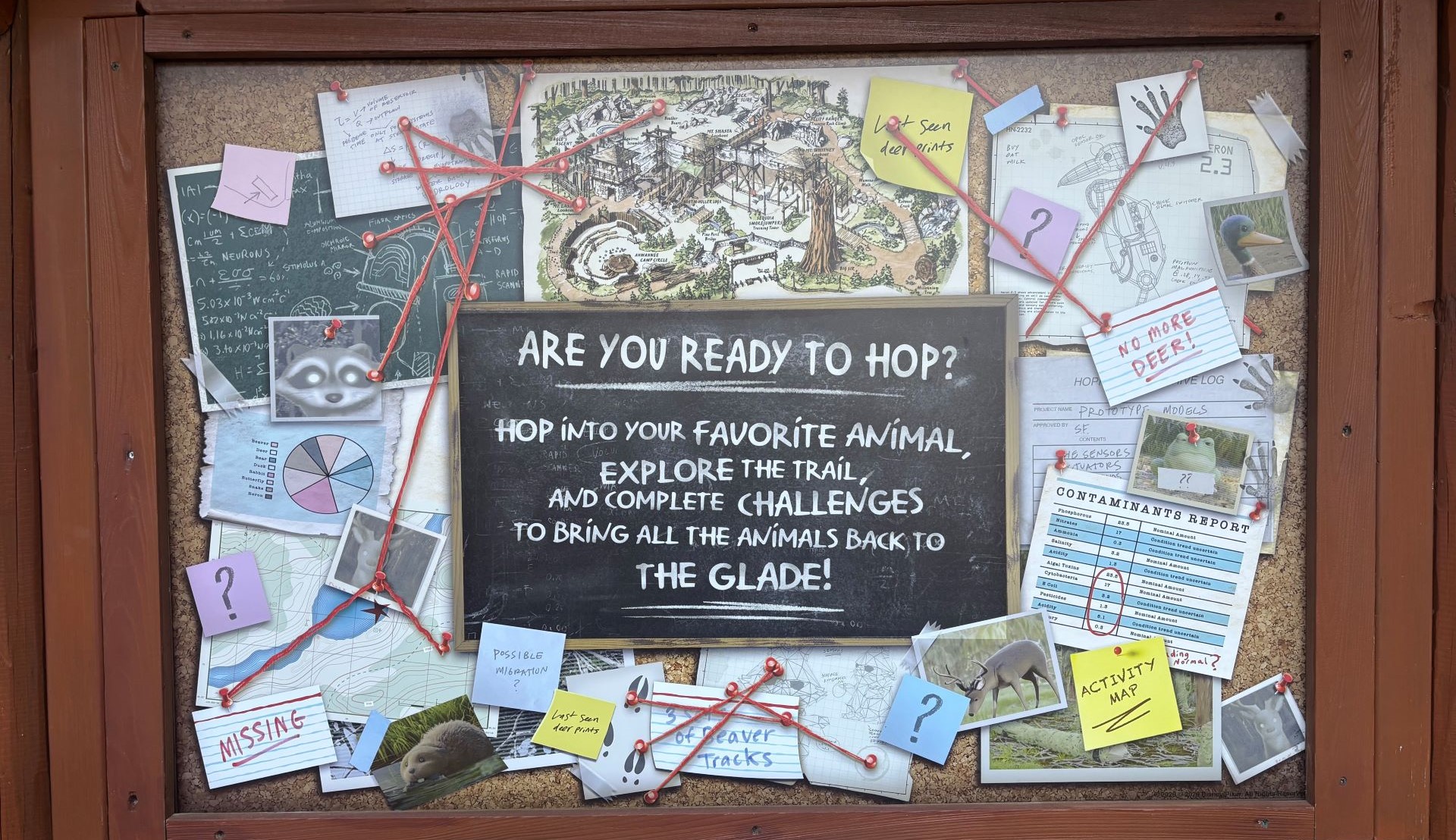 Are You Ready to Hop - Redwood Creek Challenge Trail