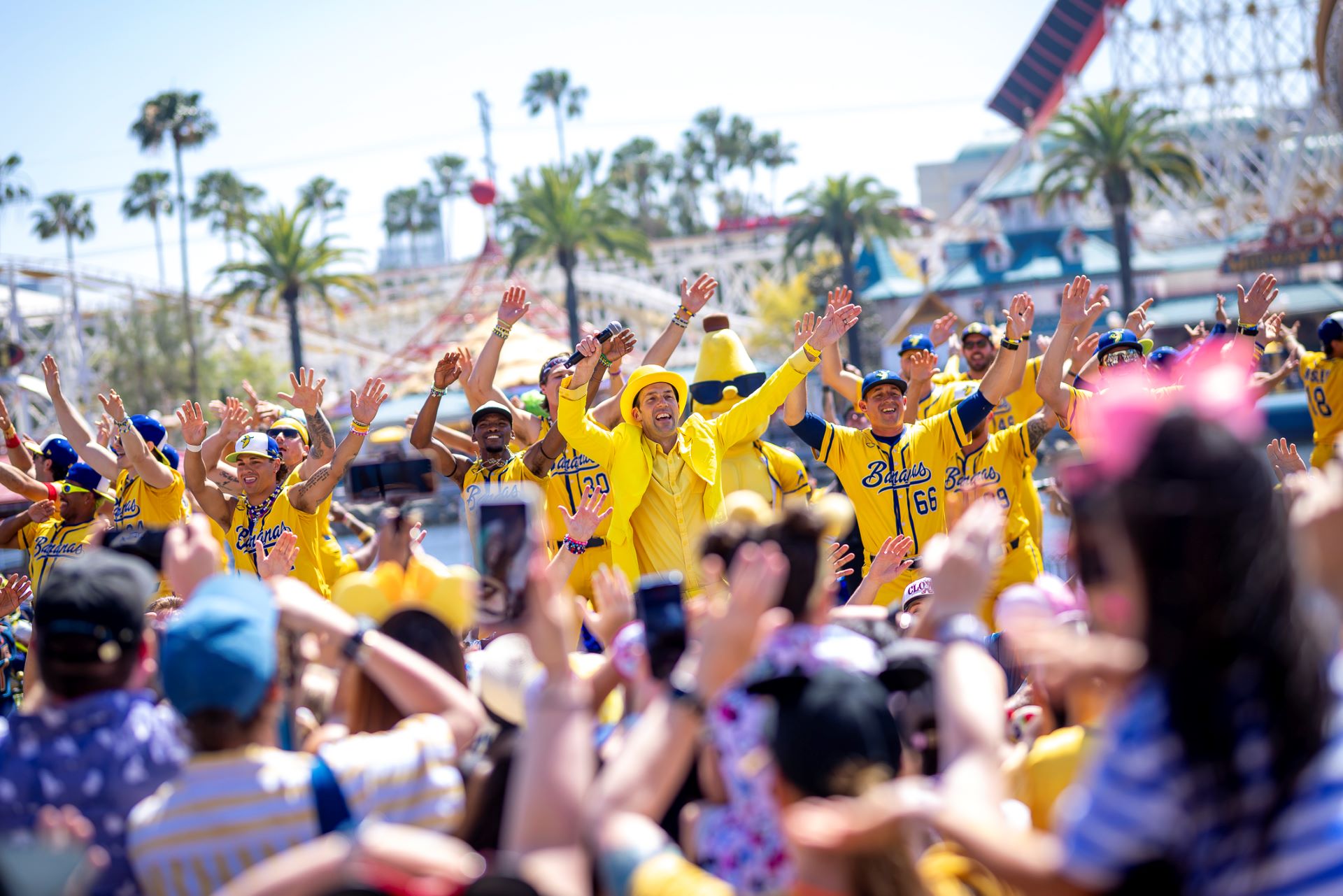 Bananas at California Adventure
