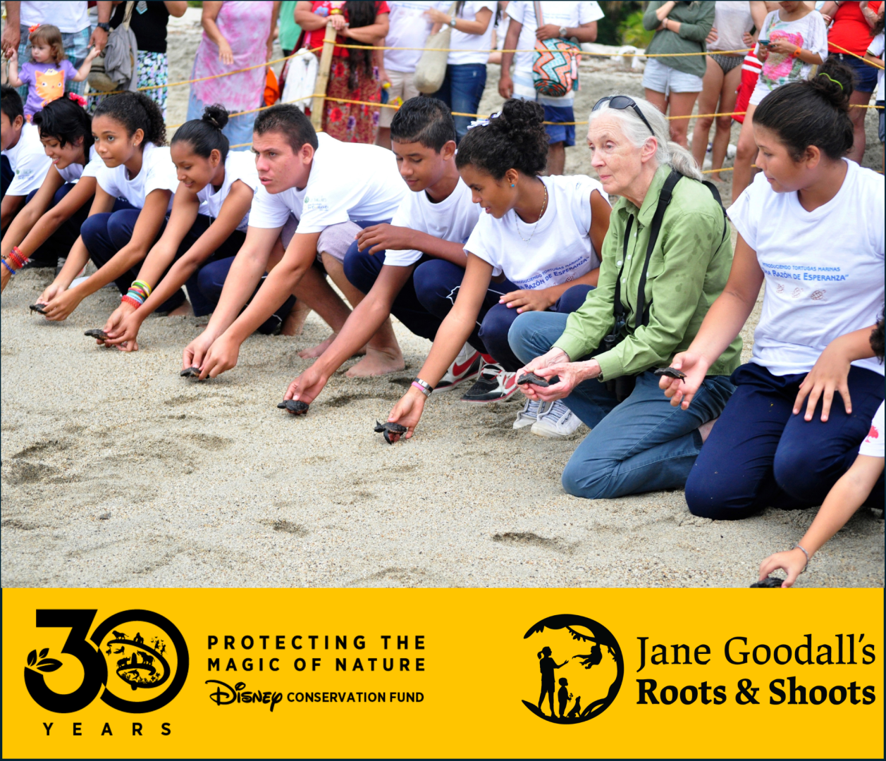 Disney Conservation Fund - Hoppers