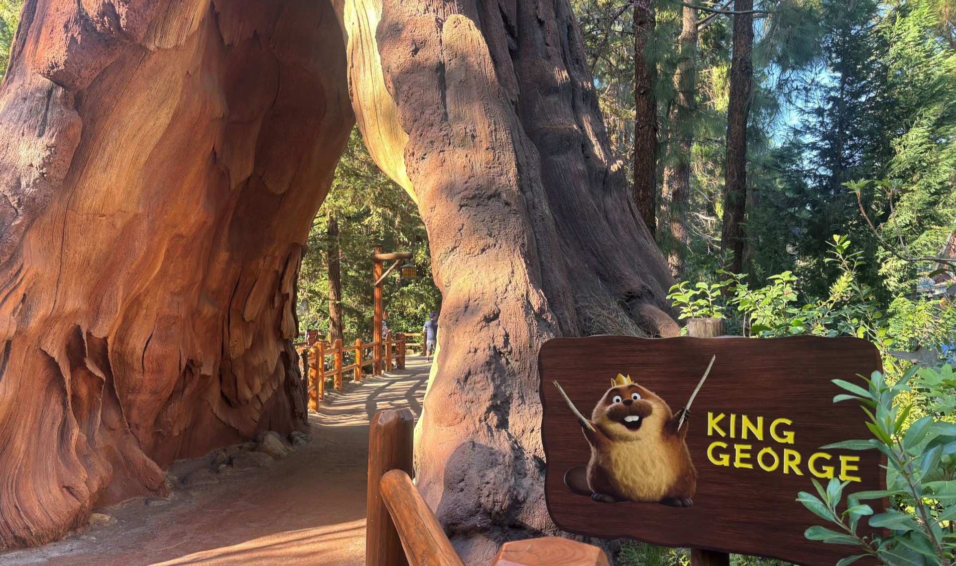 King George Hoppers Redwood Creek Challenge Trail
